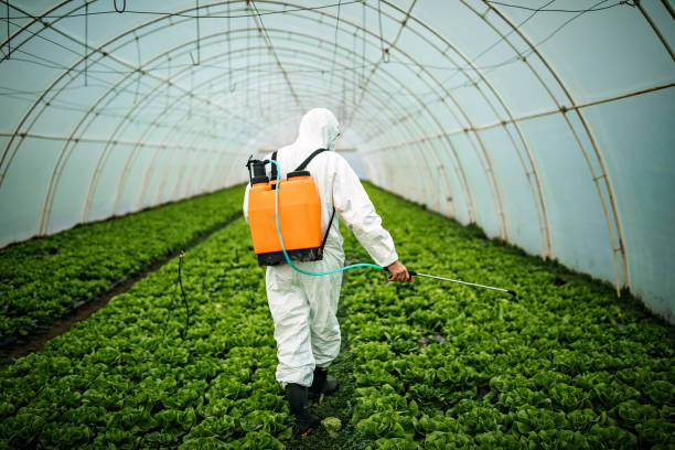 Best Pest Inspection Near Me  in Belhaven, NC