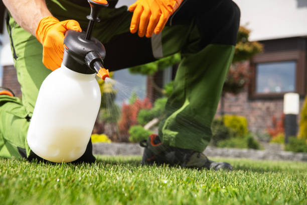 Best Local Pest Control Services  in Belhaven, NC