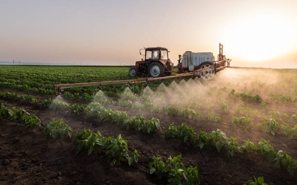 Best Pest Removal Services  in Belhaven, NC