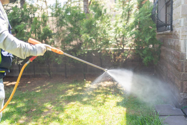 Best Best Pest Control Companies  in Belhaven, NC