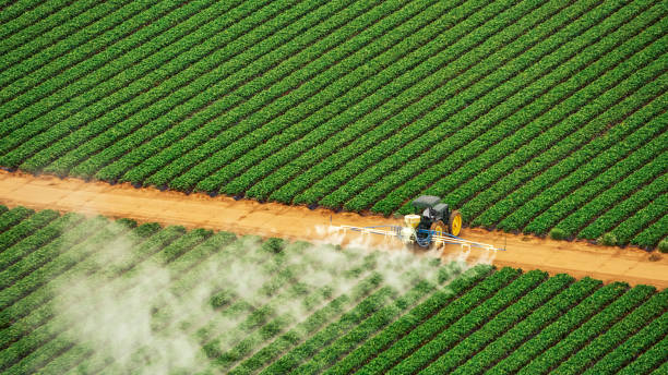 Best Commercial Pest Control Services  in Belhaven, NC
