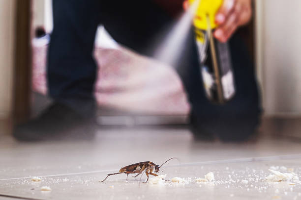 Best Residential Pest Control  in Belhaven, NC