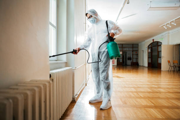 Trusted Belhaven, NC Pest Control Experts