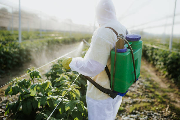 Best Cockroach Control Services  in Belhaven, NC